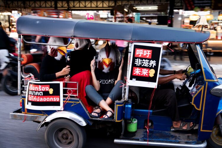 Animal Activists Hit the Streets
