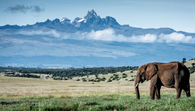 The Long Run’s Virtual Impact Show 2026 Returns - TRAVELINDEX